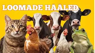LOOMADE HÄÄLED