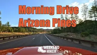 Elk, Pines & Hidden Campgrounds | Scenic Drive from Payson to Heber, AZ (Narrated)