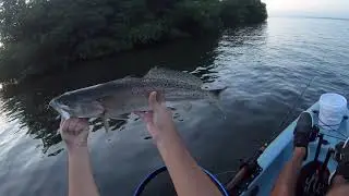 10.04.2020 Indian River Lagoon Fishing