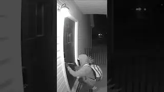 👉Wrong House Instantly😳🐕📦#Shorts #PorchPirate #InstantKarma