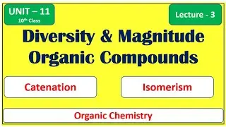 Diversity & Magnitude of Organic Compounds - Unit 11 (Lecture -3) |Chemistry 10th Class #chemistry