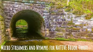 Micro Streamers and Nymphs for NATIVE Brook Trout