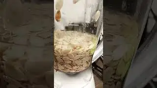 2nd step Blending the pumpkin seeds/EGUSI SEEDS FOR THE EGUSI SOUP#shorts