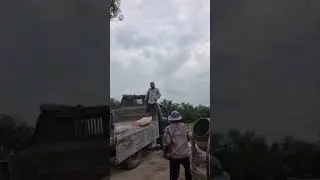 Kéo vác xi măng vào nhà | Đức Phương Vlog đang phát trực tiếp!