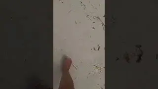 Relaxing Wave Sounds / FOOTPRINTS IN THE SAND / WALKING BAREFOOT ON THE BEACH , Boracay Island
