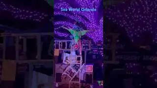 Handstands on Stacked Up Chairs: An Elf Story at Sea World #seaworld