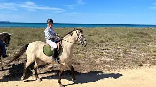 240604 Ca'n Picafort - horse hacking in Mallorca