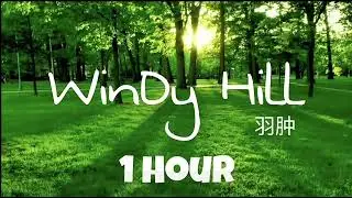 NHẠC L&Ograve;NG BIẾT ƠN - WINDY HILL