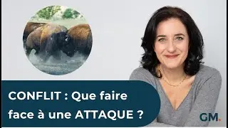 CONFLIT : Que faire face à une ATTAQUE ?