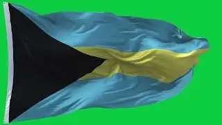 🚩Bahamas Flag Waving | GREEN SCREEN & CHROMA MATTE🚩