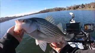 1-12-26 Lake Norman Hybrid Fishing