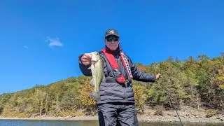 Table Rock Lake Video Fishing Report October 17, 2023 short