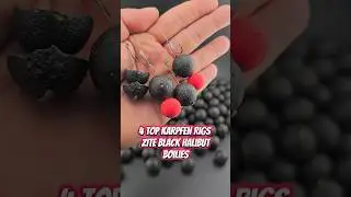 Top Karpfen Rigs f&uuml;r erfolgreiche Karpfensaison 2024 - Easy zum nachmachen - Teil 1 #carpfishing