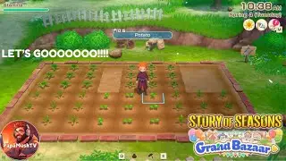 Let the FARMING begin!!!! | STORY OF SEASONS - GRAND BAZAAR | Ep. 1