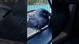 Crow core😘😘