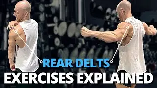 How To Hit The Rear Delts | Exercises Explained #reardelts #howto #learn