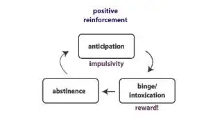 The Addiction Cycle