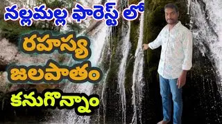 నల్లమల్ల ఫారెస్ట్ లో రహస్య జలపాతాన్ని కనుగొన్న // #nallamalaforestwaterfalls