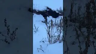 СКАЗКИ - ХАТ feat . ГАЭС Андеграунд