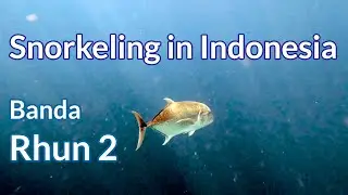Rhun, Banda Ep.2 - 4K Snorkeling in Indonesia