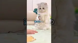 【2ch面白いスレ】幼ワイ「お年玉貰った！」マッマ「あら〜幾らになった数えられる？」幼ワイ「えとえと五万円！」&rarr;最悪の結末