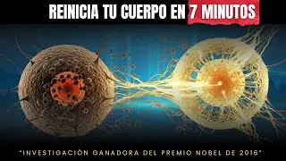 La Respiración de Ayuno del MIT de 7 Minutos que Activa la Autofagia Sin Dieta