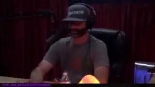 Joe Rogan Experience - Brody Stevens 10% Gay
