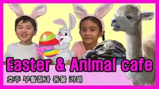 Easter egg hunt and Animal cafe [호주 부활절과 동물카페 | 어린이 영어]