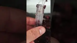 &iquest;Comer dos Cerezas te Mata?
