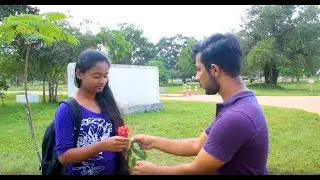 The Rose Without Thornes | E16 BATCH | FACULTY OF ENGINEERING | UNIVERSITY OF JAFFNA