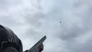 Cefngwyn Hall - Duck Shooting