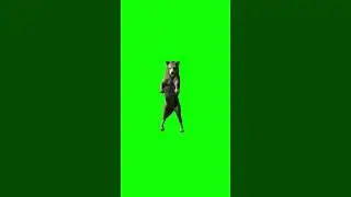 fox dance green screen 🦊🦊#fox#yt viral #green screen
