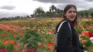 Cut Flower Farm in Vista, California