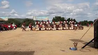 Maphalaleni