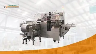 TD200A Irregular Pouch Bagging Machine &mdash; Smart Wrapping for Sandwiches and Ready Meals