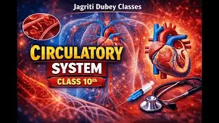 Human Circulatory System_Class 10_REVISION for BOARDS