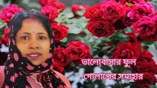 ভালোবাসার সমাহার গোলাপের ডালি নিয়ে @amblogs.5205 