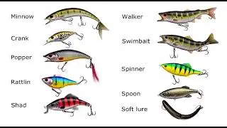 Top Water Fishing Lures