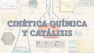 3. Determinación de la ecuación de velocidad de una reacción catalítica heterogénea