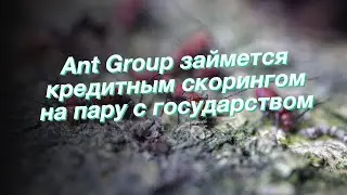 Ant Group займется кредитным скорингом на пару с государством