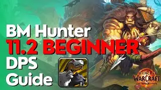 Beast Mastery Hunter TWW Season 3 Beginner Raid & M+ Guide