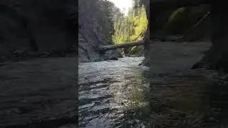 Peace Harmony and Nature