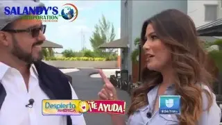 Despierta America con Andy Salandy