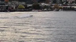 JetShark submarine in Queeenstown 🇳🇿 New Zealand