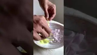 Making Chicken Roulade | Jungle Cuisine