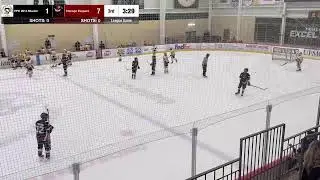 PPE 2013 Mueller Vs. Chicago Reapers