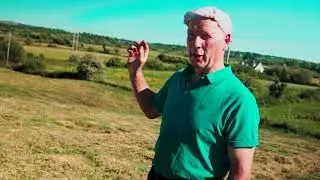 The Irish Fairy Tree (White Thorn)