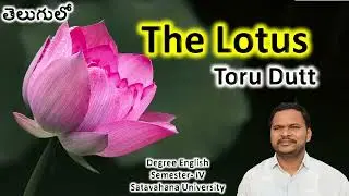 The Lotus by Toru Dutt summary #thelotussummaryintelugu #satavahadegreeenglish #torudutt