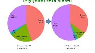 An Evaluation of the National Budget 2020-21