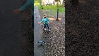 Funny girl playing with pigeon in the park 🐦 #shorts